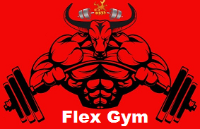 Flex Gym Belgaum